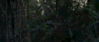 sigbackyay.gif