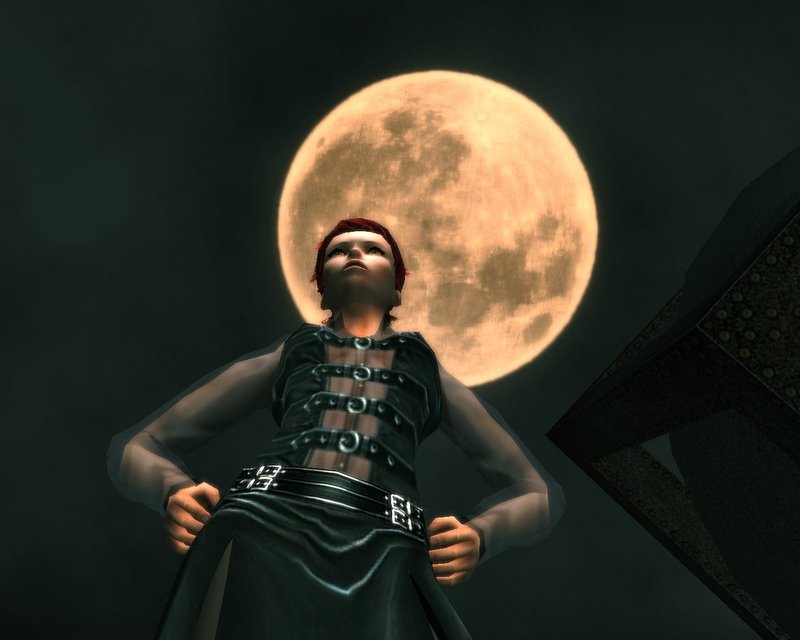 screenshot_13-1.jpg
