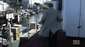 flying_leap.gif