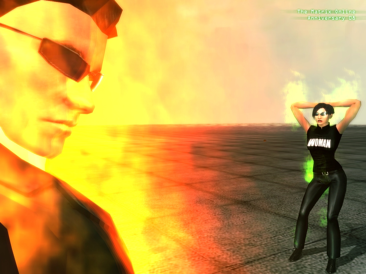 080305anniv08womangx0.png