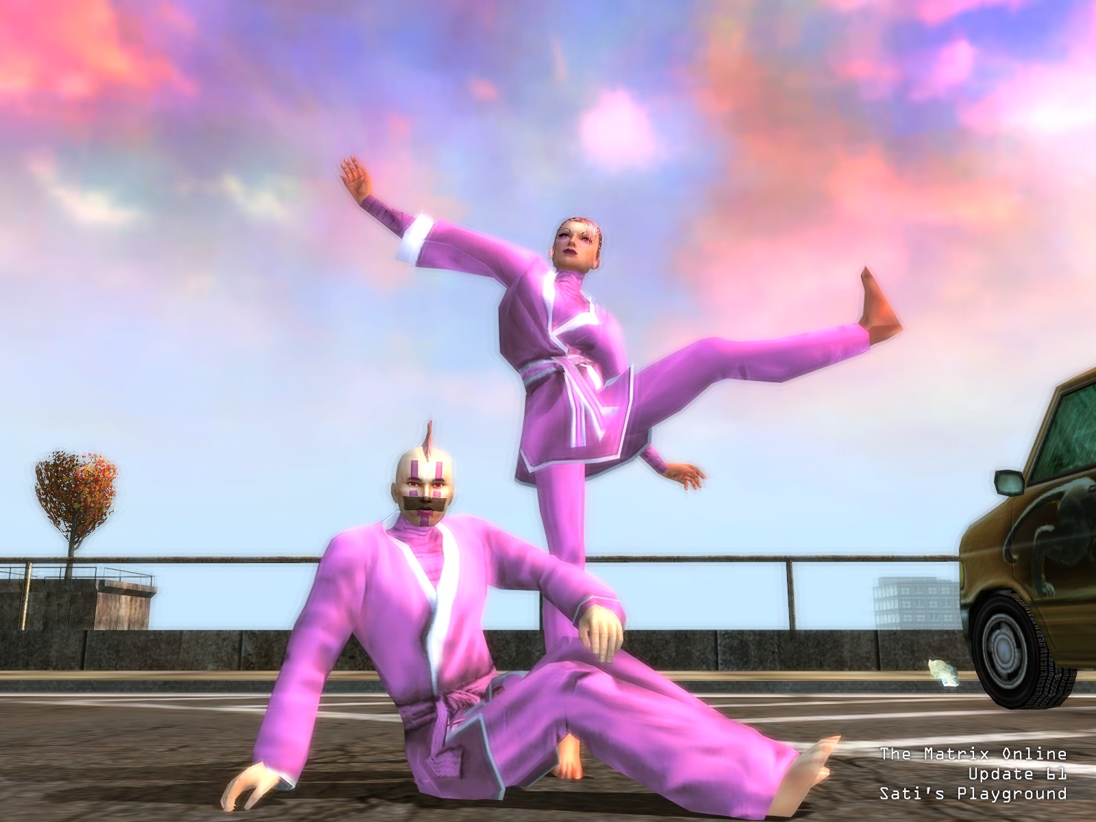 080701pinkgitf9.jpg